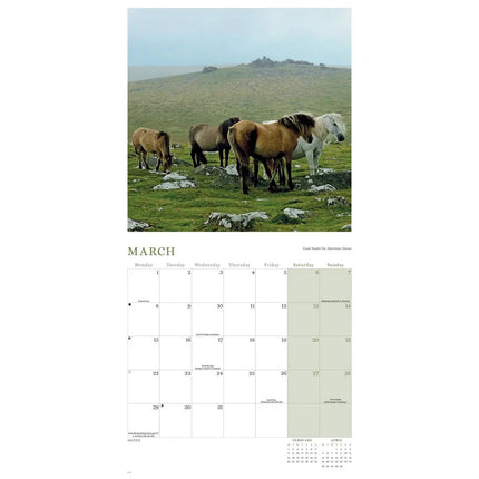 CarouselCalendars Groot-Brittannië Kalender 2027