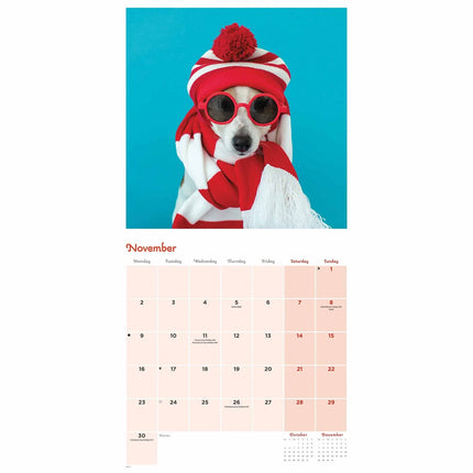 CarouselCalendars Honden Vermomming Kalender 2026