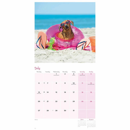 CarouselCalendars Honden Vermomming Kalender 2026