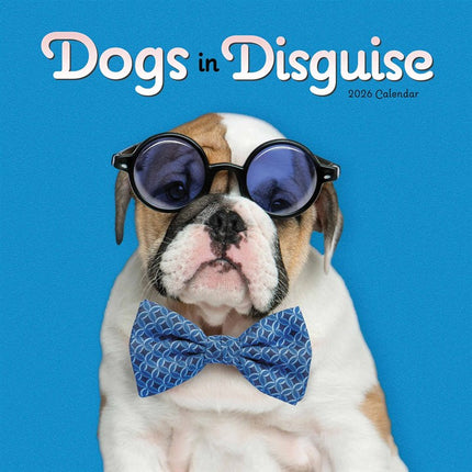 CarouselCalendars Honden Vermomming Kalender 2026