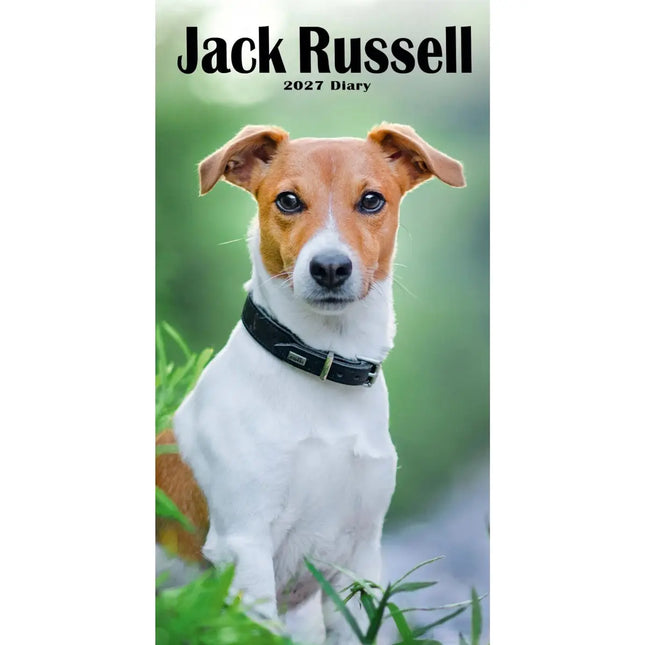 CarouselCalendars Jack Russell Terrier Slim Agenda 2027