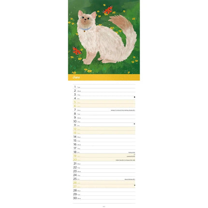 CarouselCalendars Katten Illustraties Kalender 2027 Slimline