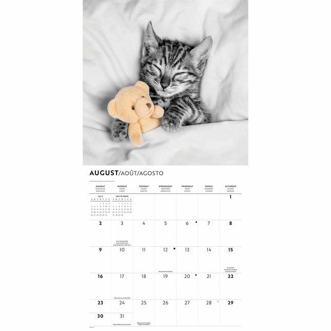 CarouselCalendars Katten Kalender 2026