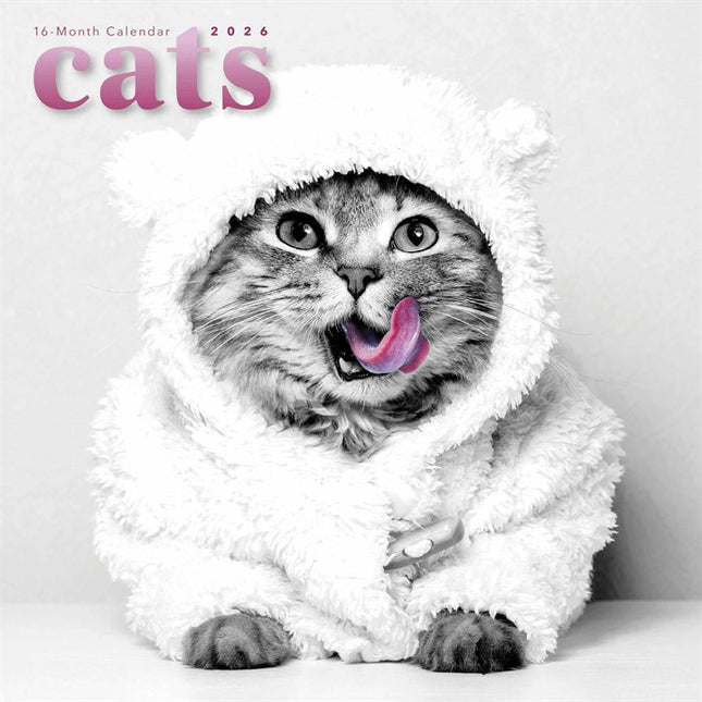 CarouselCalendars Katten Kalender 2026