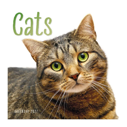 CarouselCalendars Katten Kalender 2027