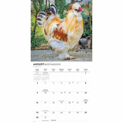CarouselCalendars Kippen Kalender 2026