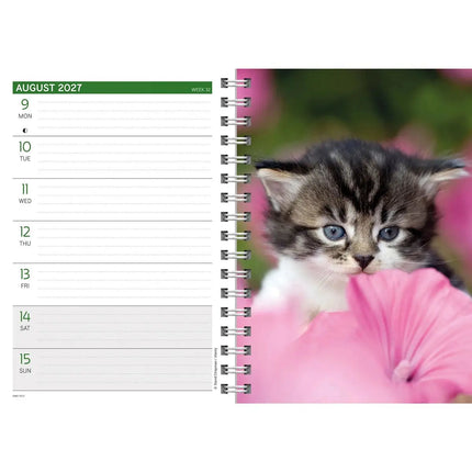 CarouselCalendars Kittens A5 Agenda 2027