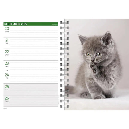 CarouselCalendars Kittens A5 Agenda 2027