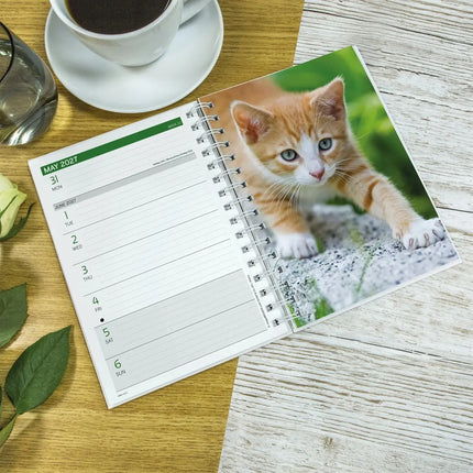 CarouselCalendars Kittens A5 Agenda 2027