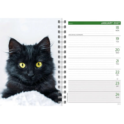 CarouselCalendars Kittens A5 Agenda 2027