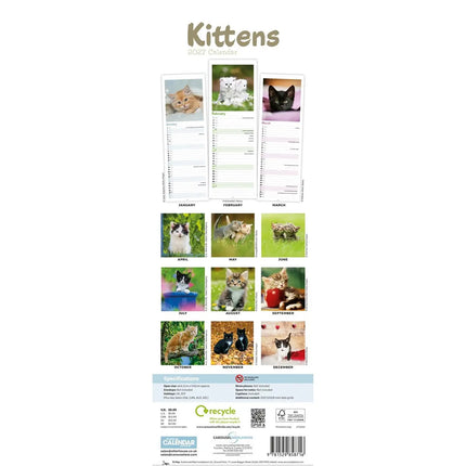 CarouselCalendars Kittens Kalender 2027 Slimline