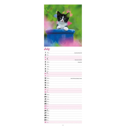 CarouselCalendars Kittens Kalender 2027 Slimline