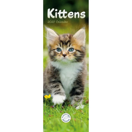CarouselCalendars Kittens Kalender 2027 Slimline
