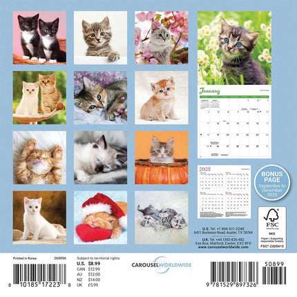 CarouselCalendars Kittens Mini Kalender 2026
