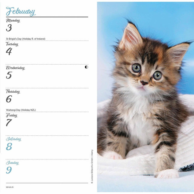 CarouselCalendars Kittens Pocket Agenda 2025