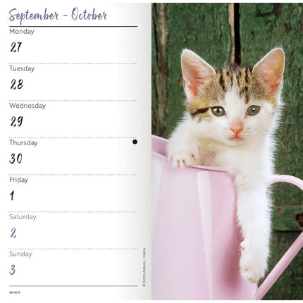CarouselCalendars Kittens Slim Agenda 2027