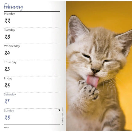 CarouselCalendars Kittens Slim Agenda 2027