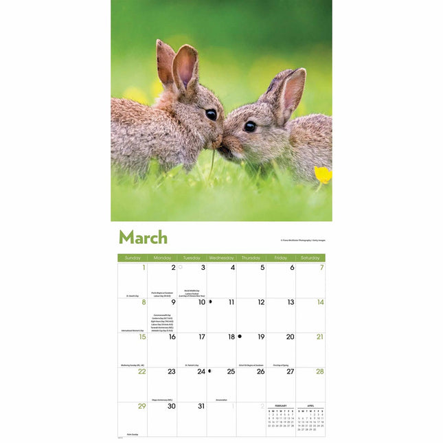 CarouselCalendars Konijnen Kalender 2026