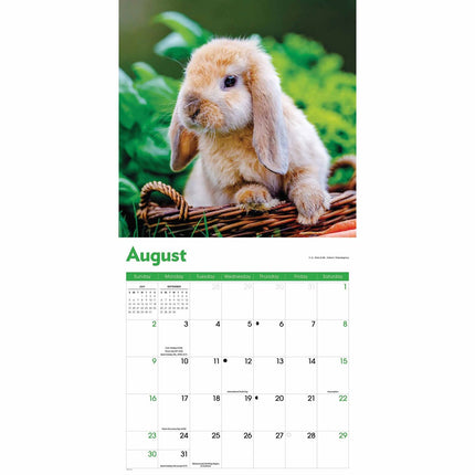 CarouselCalendars Konijnen Kalender 2026