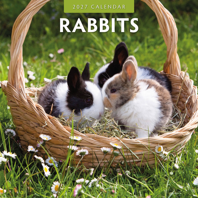 CarouselCalendars Konijnen Kalender 2027