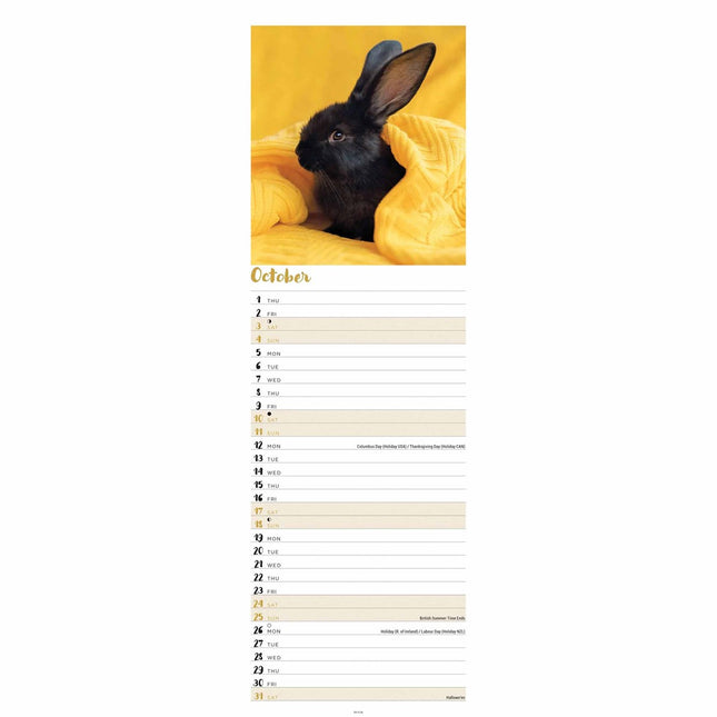 CarouselCalendars Konijnen Kalender Slimline 2026