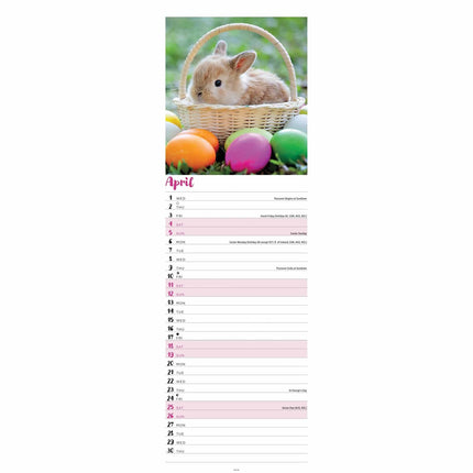 CarouselCalendars Konijnen Kalender Slimline 2026
