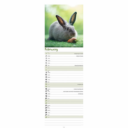CarouselCalendars Konijnen Kalender Slimline 2026
