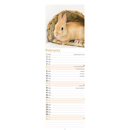 CarouselCalendars Konijnen Kalender Slimline 2027