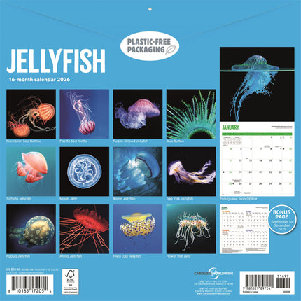 CarouselCalendars Kwallen Kalender 2026