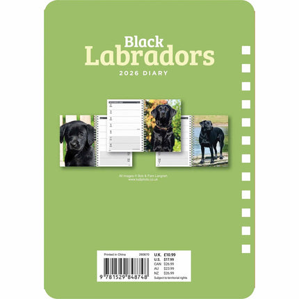 CarouselCalendars Labrador Retriever Zwart A5 Agenda 2026