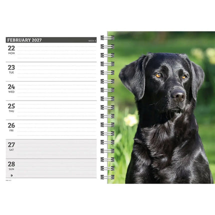 CarouselCalendars Labrador Retriever Zwart A5 Agenda 2027