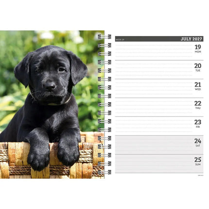 CarouselCalendars Labrador Retriever Zwart A5 Agenda 2027