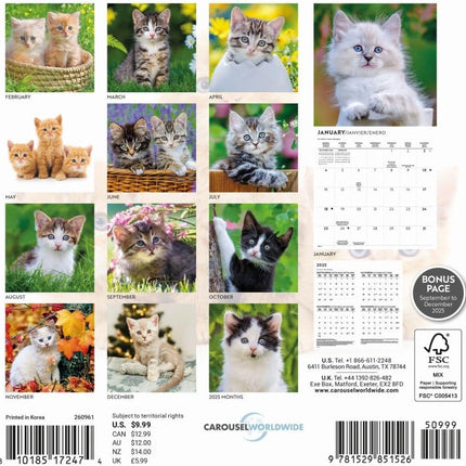 CarouselCalendars Love of Kittens Mini Kalender 2026