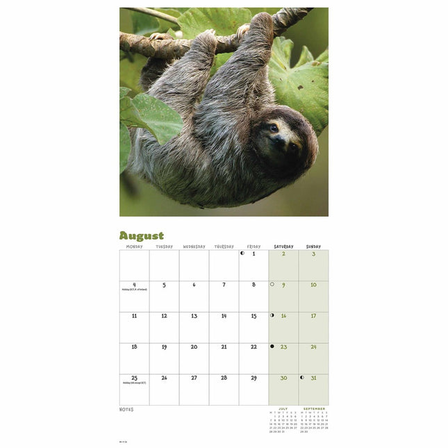CarouselCalendars Luiaard Kalender 2025 Mini