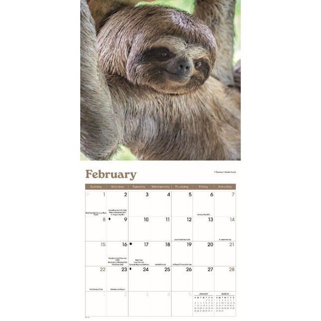 CarouselCalendars Luiaard Kalender 2026 Mini