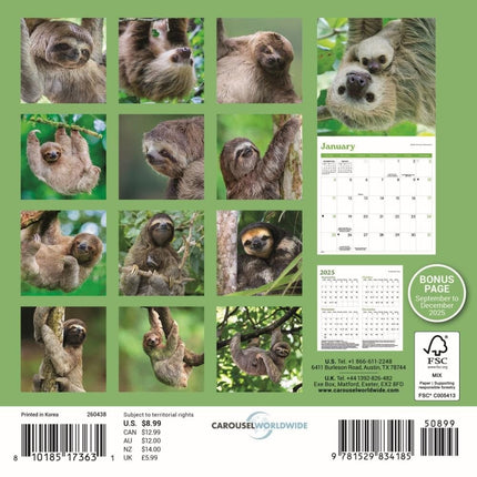 CarouselCalendars Luiaard Kalender 2026 Mini