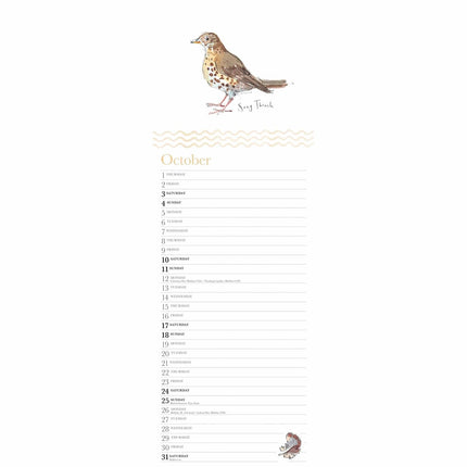 CarouselCalendars Madeleine Floyd, The Dawn Chorus Slim Kalender 2026