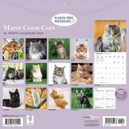 CarouselCalendars Maine Coon Kalender 2026