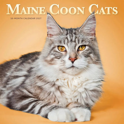 CarouselCalendars Maine Coon Kalender 2027