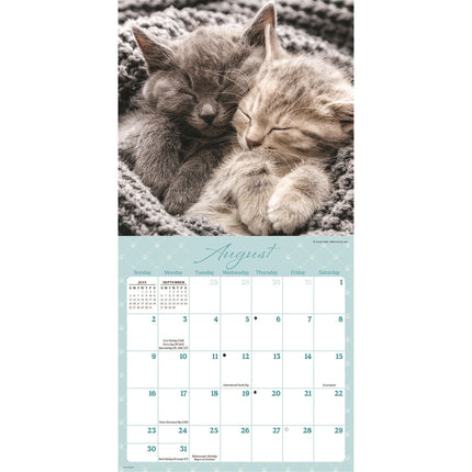 CarouselCalendars Nap Time Mini Kalender 2026