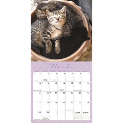CarouselCalendars Nap Time Mini Kalender 2026
