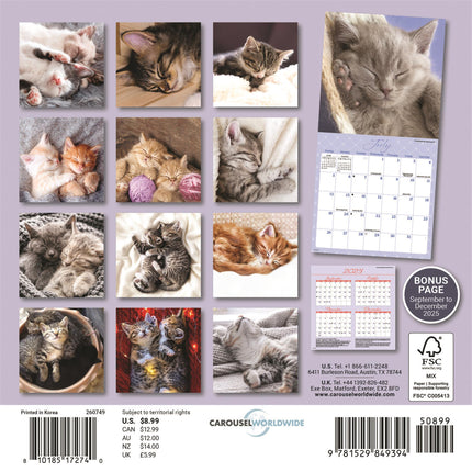 CarouselCalendars Nap Time Mini Kalender 2026