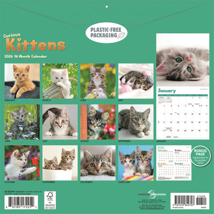 CarouselCalendars Nieuwsgierige Kittens Kalender 2026