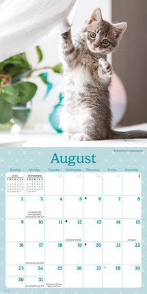 CarouselCalendars Nieuwsgierige Kittens Mini Kalender 2026