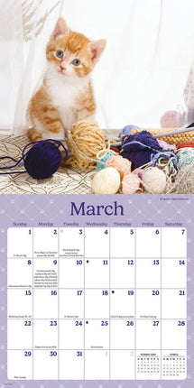 CarouselCalendars Nieuwsgierige Kittens Mini Kalender 2026