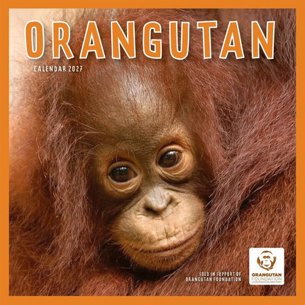 CarouselCalendars Orang-oetan Kalender 2027