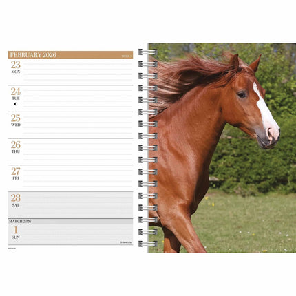 CarouselCalendars Paarden A5 Agenda 2026