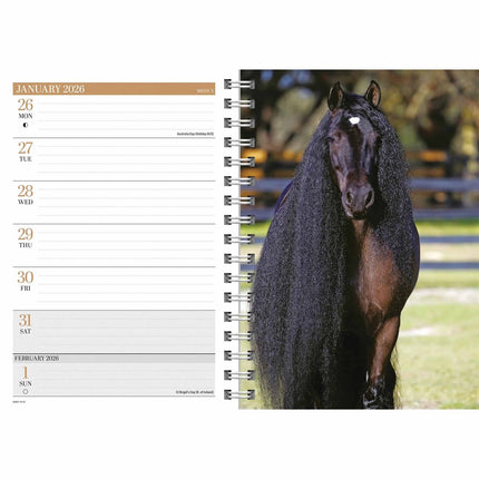 CarouselCalendars Paarden A5 Agenda 2026