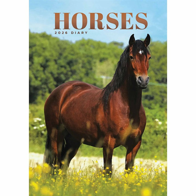 CarouselCalendars Paarden A5 Agenda 2026