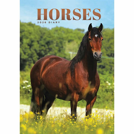 CarouselCalendars Paarden A5 Agenda 2026